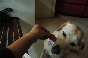 1380945328-3878461193