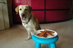 1380945329-1296068251