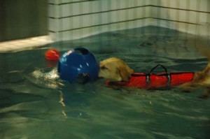 1380945329-3365574669