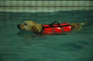 1380945329-456948989