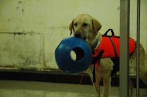 1380945330-3279742024