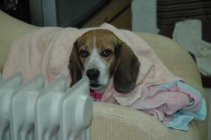 1380945345-3157393242