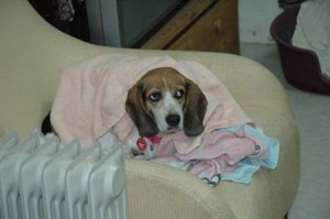 1380945345-3387012966