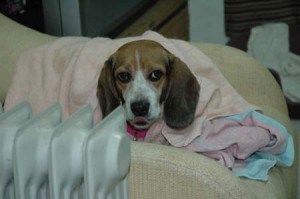 1380945346-2199499179