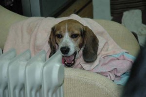 1380945346-3896955236