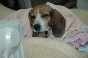 1380945347-1471943715