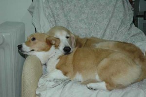 1380945349-1381805505