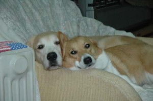 1380945349-3939561854