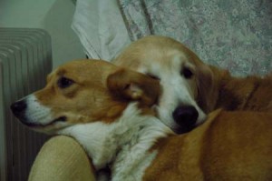 1380945350-754029478