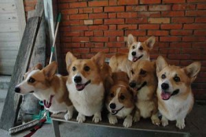 1380945351-1777357071