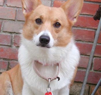 1380945351-2243345794