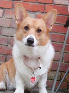 1380945351-2243345794