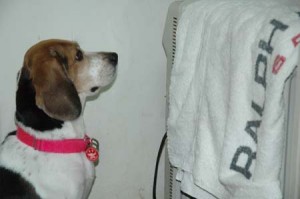 1380945352-1626644121