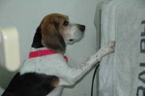 1380945352-957099212