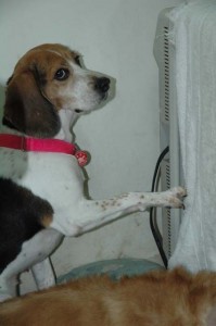 1380945353-3348937108