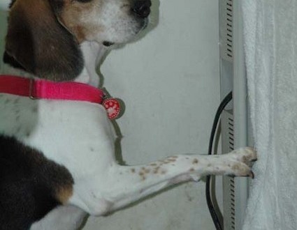 1380945353-3348937108