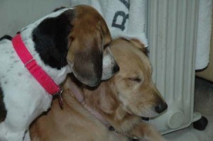 1380945354-1011451790