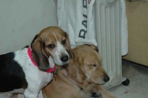 1380945355-1915146995