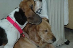 1380945355-3424817271