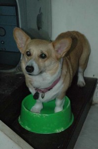 1380945358-1532939155