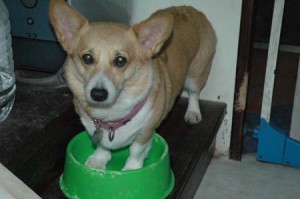 1380945359-4125320306