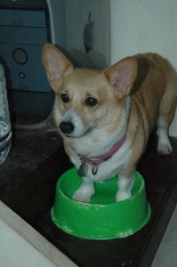 1380945359-4153661765