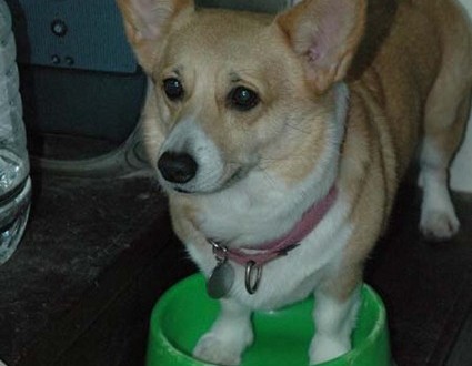 1380945359-4153661765