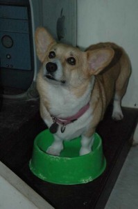 1380945360-2973558731