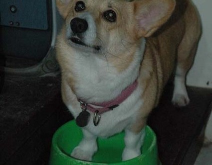 1380945360-2973558731