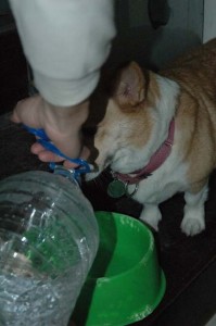 1380945360-607085508