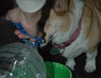 1380945360-607085508