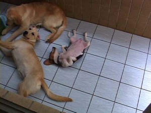 1380945363-3347746425