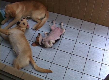 1380945363-3347746425