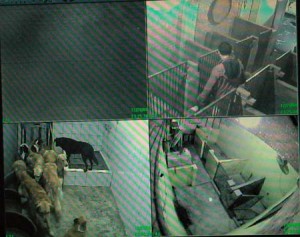 1380945364-2441216018