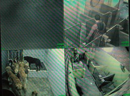 1380945364-2441216018