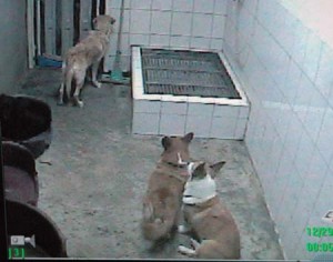 1380945365-409631962