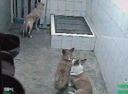 1380945365-409631962