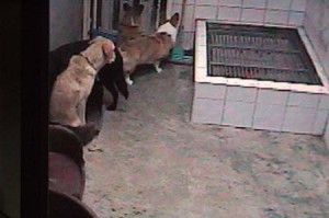 1380945367-2898279669