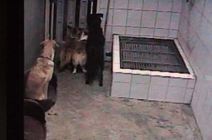 1380945367-3823782780