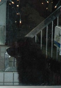 1380945368-2276986675