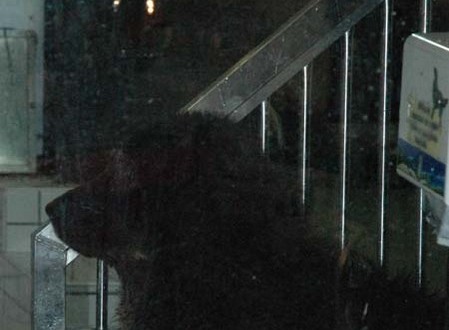 1380945368-2276986675