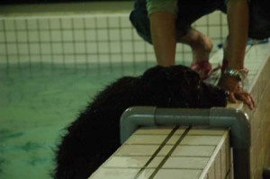 1380945369-3708631101