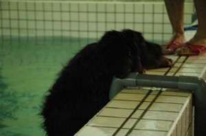 1380945369-4255721465