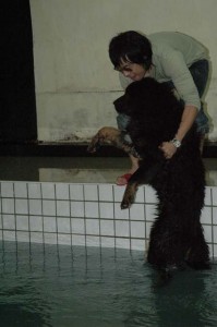 1380945370-4242186722