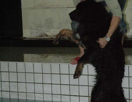 1380945370-4242186722