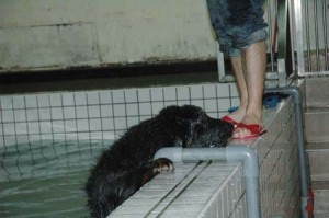 1380945370-684151643