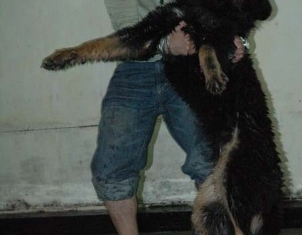 1380945371-3131068879