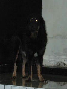 1380945372-3806709914