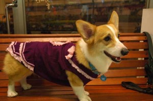 1380945375-2202545797