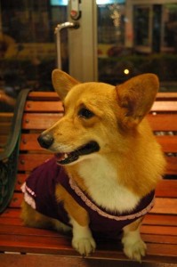 1380945377-2303938674